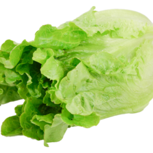 Green ve cabbage