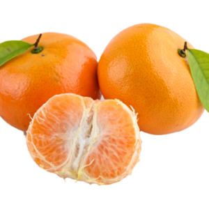 Vegan Fresh maltas